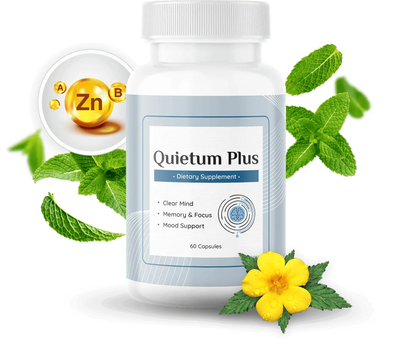 Buy Quietum Plus Limited Time Offer Only $49/Bottle